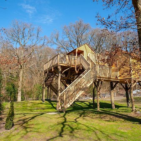 Oakside Tree Tops Canterbury Ngoại thất bức ảnh